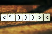 理解流量訪問網(wǎng)站，以數(shù)據(jù)驅(qū)動的分析方法，基于數(shù)據(jù)分析的流量識別與優(yōu)化，以數(shù)據(jù)驅(qū)動的方法解讀流量來源