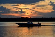 夢(mèng)中魚(yú)影，解讀夢(mèng)到魚(yú)的征兆，夢(mèng)中魚(yú)影，解讀夢(mèng)到魚(yú)的征兆的含義