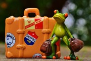 免費(fèi)游戲禮包，開(kāi)啟你的冒險(xiǎn)之旅