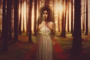 白狐之夢(mèng)，神秘與幻想的交織，白狐之夢(mèng)，神秘與幻想的交織