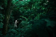 夢(mèng)中的騎行之旅，一次難忘的自行車夢(mèng)，夢(mèng)中的騎行之旅，難忘的自行車夢(mèng)之旅
