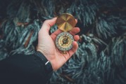黃金之夢，探索夢境中的無盡財富，黃金之夢，探索夢境中的無盡財富之旅