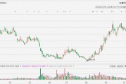 美股異動(dòng)丨極星汽車(chē)一度大跌超12%，前9個(gè)月總交付量同比減少22.8%