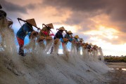 種地免費(fèi)游戲，開啟你的農(nóng)業(yè)夢(mèng)想之旅，種地大富翁，啟動(dòng)你的農(nóng)田冒險(xiǎn)之旅，免費(fèi)享受農(nóng)業(yè)的樂趣