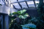 蘋果版的免費(fèi)生存類游戲，探索、建造與生存，打造屬于你自己的蘋果版生存世界，一款豐富的探索與建造類游戲