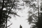 夢(mèng)到寫作文，筆尖上的心靈之旅，筆尖上的心靈之旅，夢(mèng)中的寫作之旅
