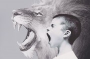 夢(mèng)中的哭泣之貓，一場(chǎng)神秘的夢(mèng)境之旅