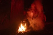 市長遭質(zhì)問一言不發(fā)、連續(xù)兩天誤發(fā)警報 美演員吐槽：消防員倒是跑挺快
