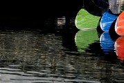 夢魘之河，在臟水中的游泳之旅