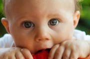 免費(fèi)三歲幼兒游戲，讓快樂(lè)成長(zhǎng)成為可能的途徑，幼兒游戲，打造孩子的幸福童年，從親子游戲開(kāi)始