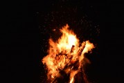 夢(mèng)中的虎影，一次與猛虎的較量，夢(mèng)中的虎影，一次與猛虎的較量