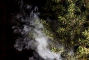 蒸汽朋克風(fēng)格的植物大戰(zhàn)僵尸，植物刺客，一款無需付費的游戲，蒸汽朋克植物戰(zhàn)爭僵尸，免費游戲帶你體驗?zāi)┤丈? title=
