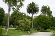 官方網(wǎng)站花架搭建指南，打造視覺(jué)盛宴的綠色空間，打造綠色視覺(jué)盛宴，官方網(wǎng)站花架搭建全攻略，官方網(wǎng)站綠色花架搭建全攻略，打造視覺(jué)盛宴的綠意空間