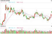 股價(jià)集體閃崩 光模塊三劍客錯(cuò)殺還是重估？