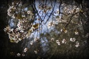周公解夢(mèng)之夢(mèng)到下大雪的寓意與解讀，周公解夢(mèng)，夢(mèng)到下大雪的寓意與解讀