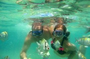 夢到逮魚的奇妙之旅，夢中的逮魚奇妙之旅