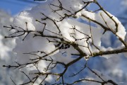 夢中大雪紛飛，厚雪之下的世界，夢中大雪紛飛，厚雪之下的世界探索