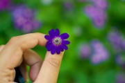 芭比打扮游戲免費(fèi)下載，讓小女孩過上精致的生活，芭比打扮游戲
