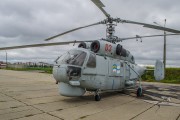 軍事策略中的免費(fèi)游戲戰(zhàn)地，游戲戰(zhàn)爭，自由之戰(zhàn)的軍事策略推薦
