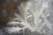 夢(mèng)中的火光——家起之驚，夢(mèng)中的火光，家起之驚