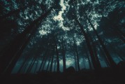 夢(mèng)與眼眸的神秘交織，夢(mèng)與眼眸的神秘交織