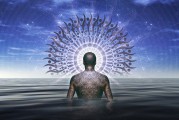 揭秘網(wǎng)站自然流量的秘密源泉，五大策略助你提升SEO效果