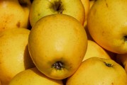 日本Rapidus公司正與蘋果、谷歌洽談芯片大規(guī)模生產(chǎn)事宜