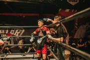 格斗游戲的狂熱與挑戰(zhàn)——探尋免費(fèi)版的力量，探索付費(fèi)格斗游戲，免費(fèi)版本的力量