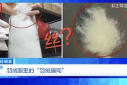 “羽絨騙局”曝光：兒童羽絨服也造假，檢測報(bào)告成本一兩元錢