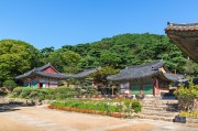 夢中的攀爬之旅，夢中的攀爬之旅之旅