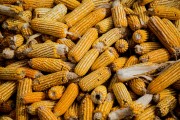 如何應(yīng)對(duì)期貨回撤問題？有哪些有效策略？