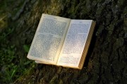 夢到書，一場心靈與知識(shí)的奇妙旅程，夢中的書，心靈與知識(shí)的奇妙旅程