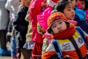 幼兒園寶寶學(xué)習(xí)游戲，隨時隨地都可以下載和體驗！，海量幼兒學(xué)習(xí)游戲免費下載，隨時隨地享受快樂教育時光！