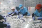 查封！關(guān)停！各地多部門連夜查處3·15曝光問題