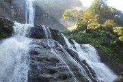 柏樹之夢(mèng)，一場(chǎng)深邃的夢(mèng)境之旅，柏樹之夢(mèng)，深邃的夢(mèng)境之旅