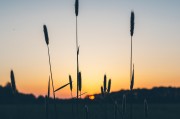 夢(mèng)境中的愛(ài)與激情，夢(mèng)境中的愛(ài)與激情之旅
