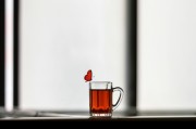 夢(mèng)中的禿頂之謎，探索內(nèi)心深處的自我啟示，夢(mèng)中的禿頂之謎，內(nèi)心深處的自我啟示探索