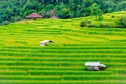 一款讓玩家深度體驗(yàn)農(nóng)業(yè)種植樂(lè)趣的免費(fèi)農(nóng)場(chǎng)種菜游戲，耕作樂(lè)土，輕松有趣的農(nóng)業(yè)種植游戲