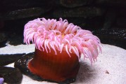 夢(mèng)到抓魚，豐收與希望的象征，夢(mèng)到抓魚，豐收與希望的象征