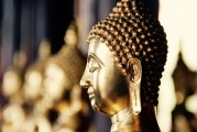 自由冷鋒游戲的神秘面紗——探秘其背后的游戲內(nèi)涵與魅力，自由冷鋒，揭示隱藏在游戲背后的深度內(nèi)涵與魅力