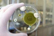 銀行卡的生物識別技術應用前景如何？