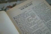 輕松入門，教你如何在論壇注冊賬號，論壇新手指南，輕松注冊賬號全攻略