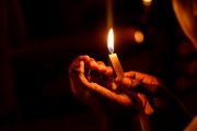 燃燒的生命——螢火蟲(chóng)（寓言故事），螢火蟲(chóng)的奧秘
