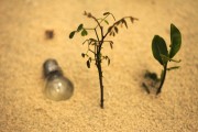 輕盈的夏日午后——輕松享受薄荷游戲免費(fèi)，輕松享受，夏季薄荷游戲——只用一包薄荷
