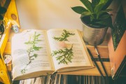 免費(fèi)游戲的春天，11個值得推薦的游戲，最新11款免費(fèi)游戲推薦，春天來臨的免費(fèi)游戲狂歡盛宴