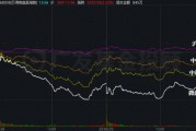 股債怎么配：小微盤風(fēng)格暫時“熄火”，想博彈性可以考慮這個策略
