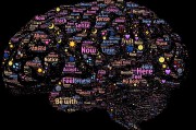三國類免費游戲的探索與啟示，三國志系列，策略、戰(zhàn)爭與歷史深度解密
