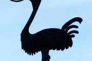 孕婦夢(mèng)到癩蛤蟆的寓意與解析，孕婦夢(mèng)到癩蛤蟆的寓意與解析
