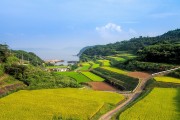 湘西網(wǎng)站流量，助力鄉(xiāng)村振興的數(shù)字引擎