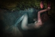 野貓之夢，神秘、自由的象征，野貓之夢，神秘自由的象征